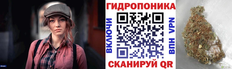 купить наркотик  Кашин  Конопля Amnesia 